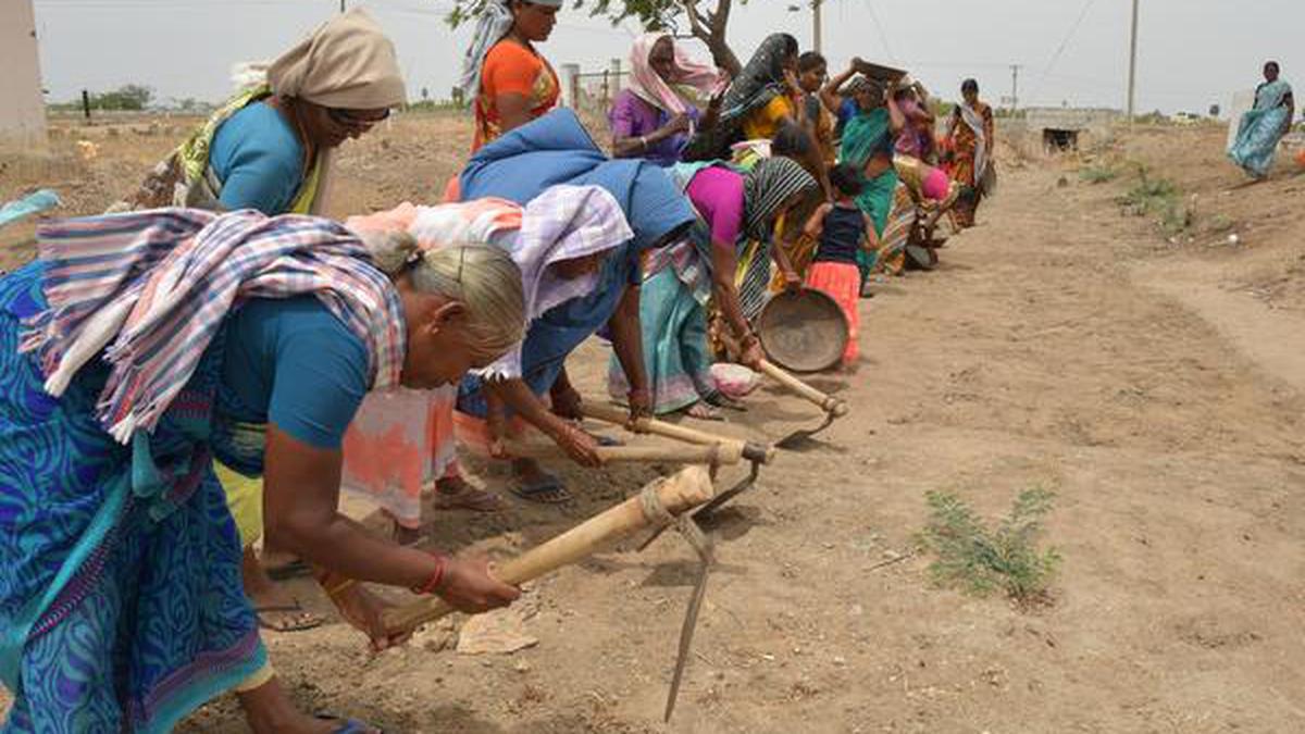 Fund crunch hits MGNREGA scheme