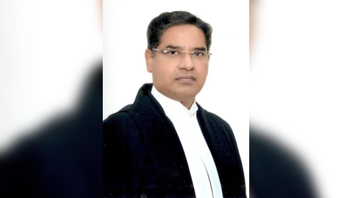 Allahabad HC grants bail in rape case; victim blamed