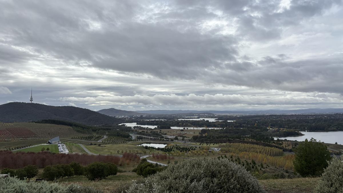Views from the National Arboretum