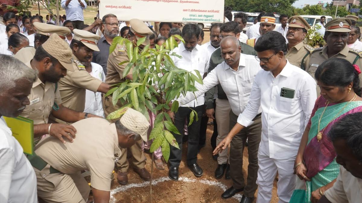 Over 25.71 lakh saplings to be planted in Tiruvannamalai