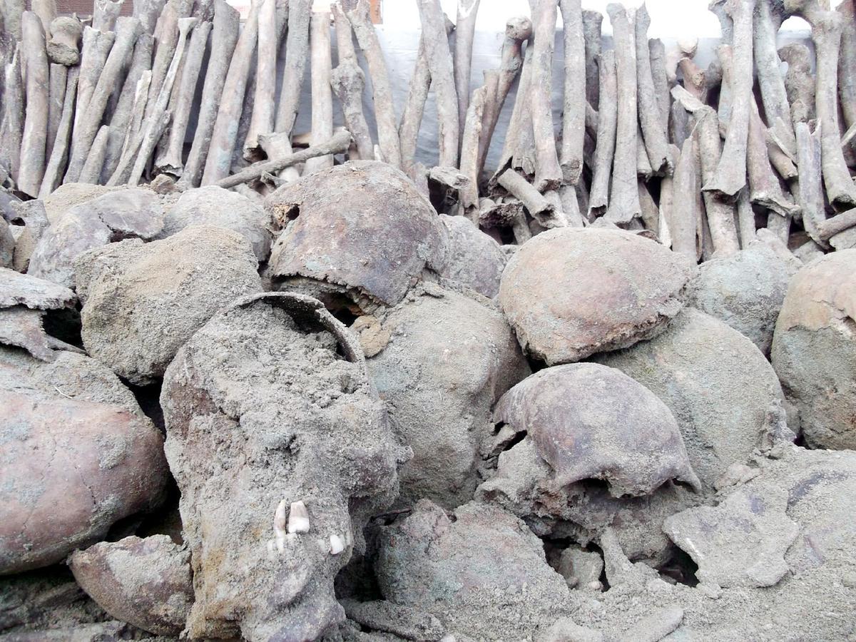 The skeletons found in Ajnala, near Amritsar. Photo: Special Arrangement