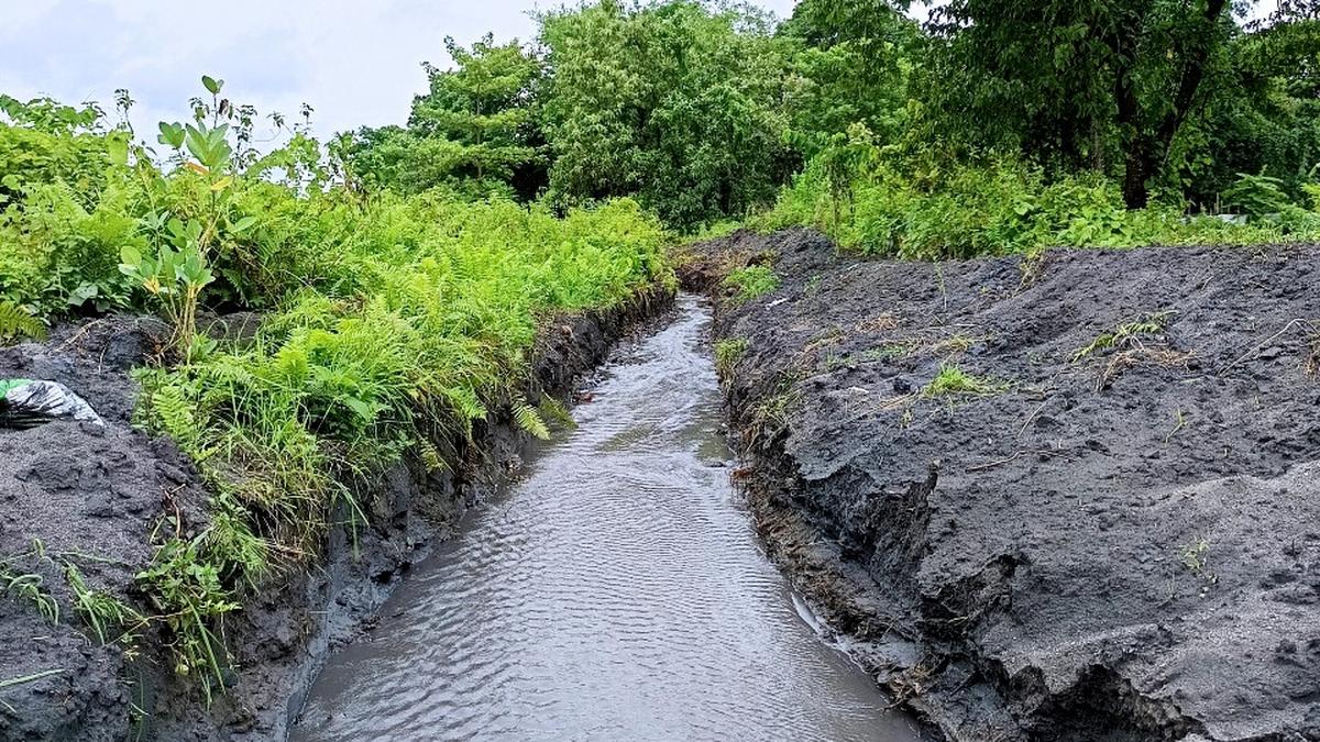 Community-run irrigation canals revived in Assam