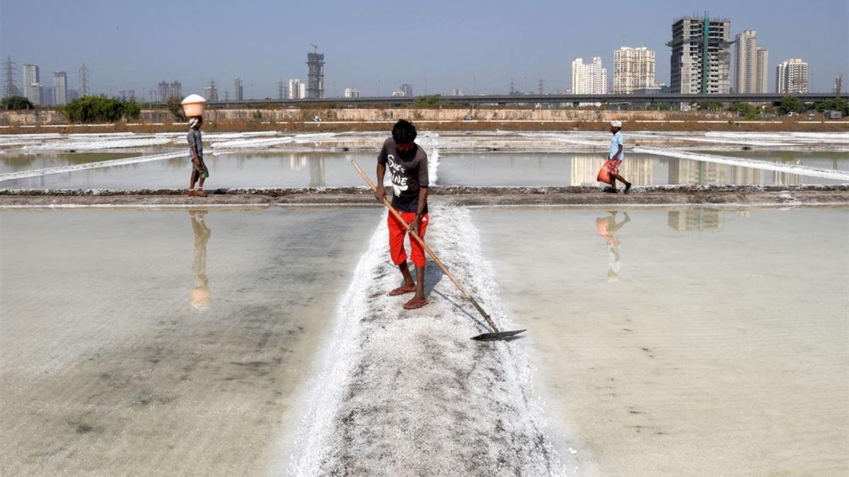 Why is salt pan land being used for homes?: Explained