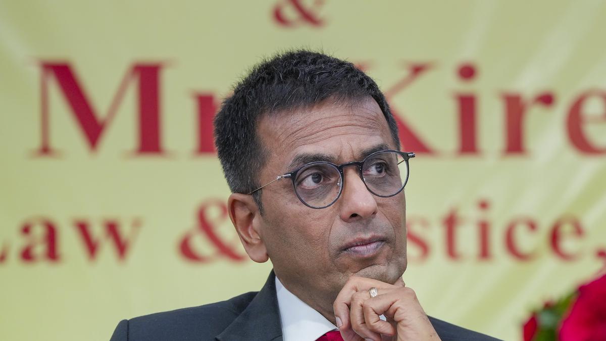 No Supreme Court Benches to be available during winter vacation: CJI D. Y. Chandrachud