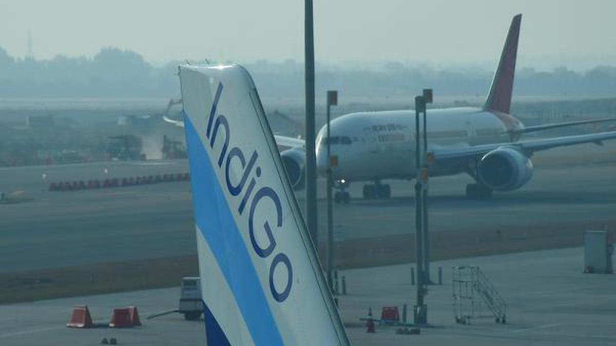 IndiGo authorised to operate 30 flights to transport essential items within India