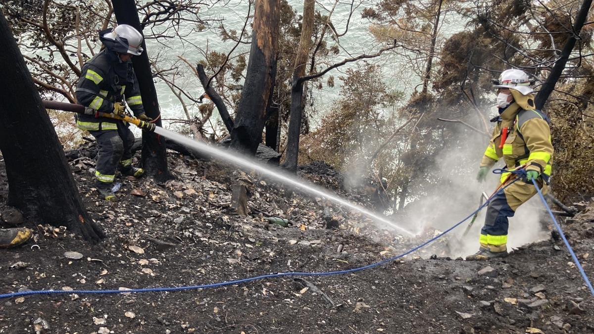 Japan’s worst wildfire in 50 years brought under control: mayor