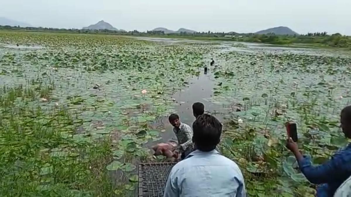 Two farmers drown in irrigation tank near Tiruvannamalai