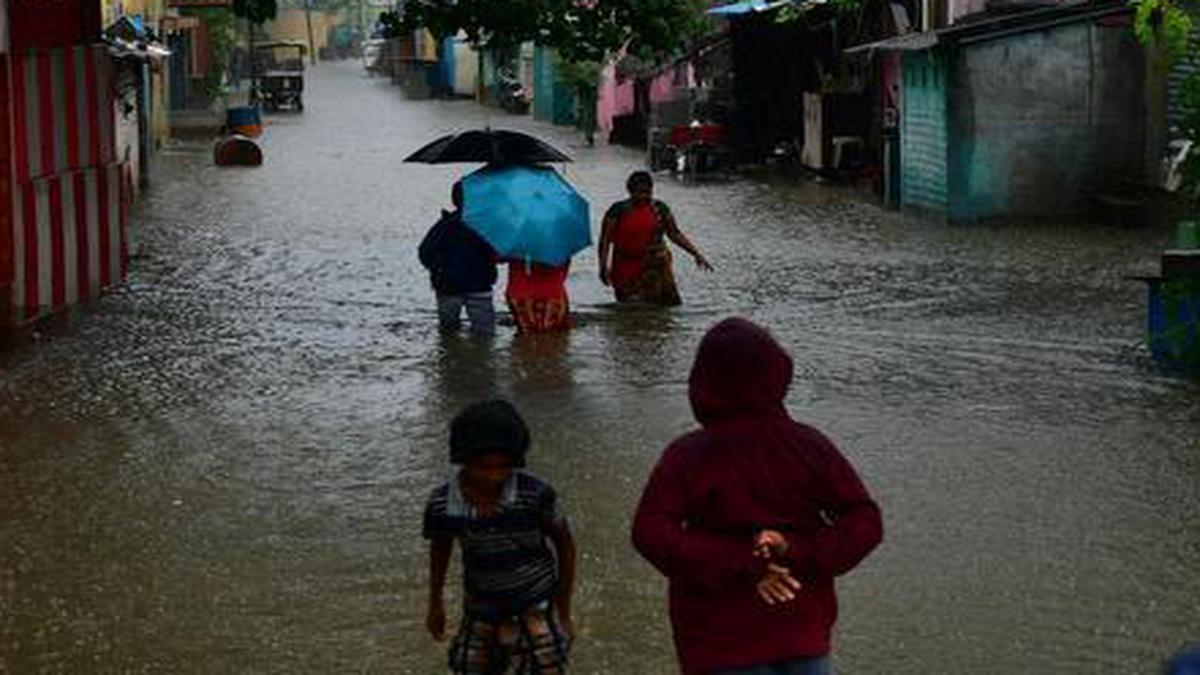 Nivar causes damage in Vellore, Tirupathur and Ranipet districts