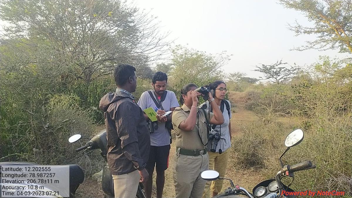 Annual bird census conducted in Vellore, nearby districts