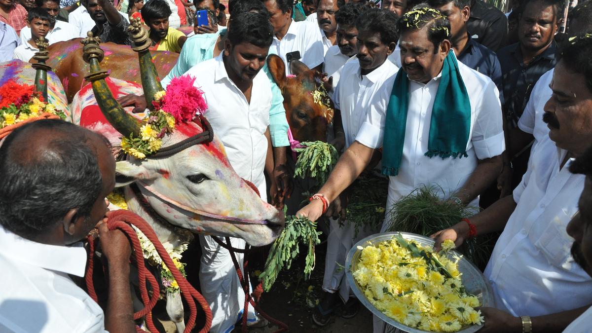 DMK government has not fulfilled electoral promises, says Edappadi K. Palaniswami