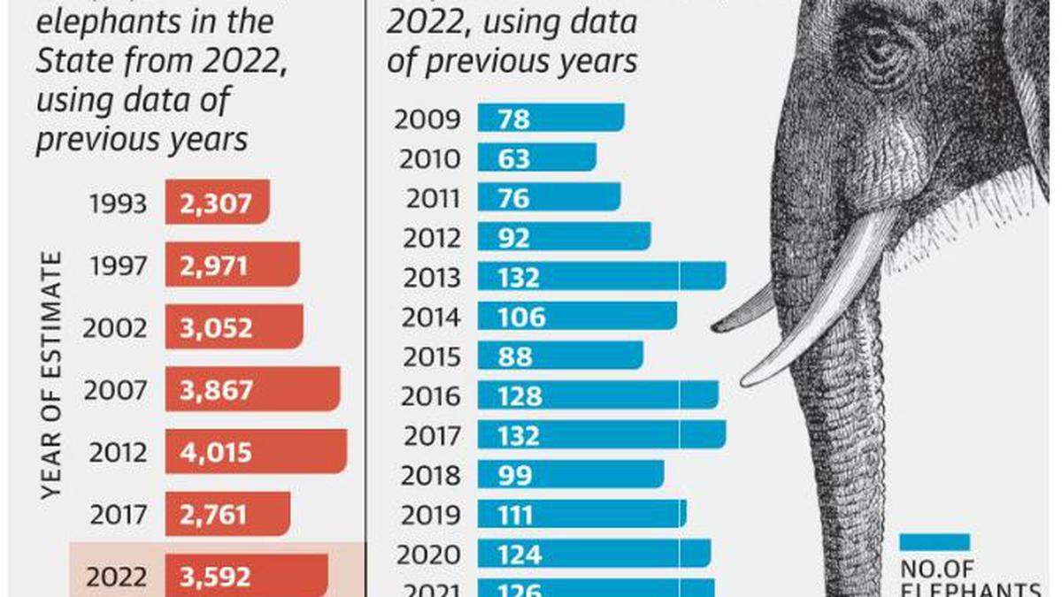 Elephant population, deaths projected to increase in Tamil Nadu - The Hindu