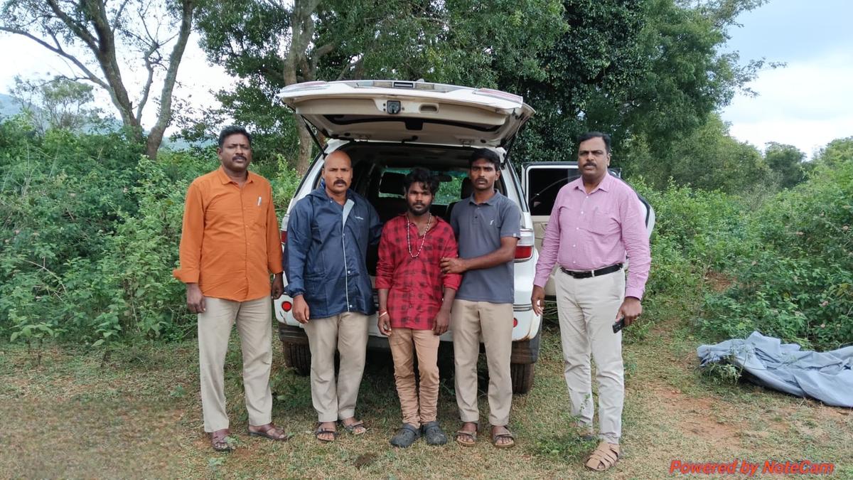 Man held for helping to transport red sanders near Ambur