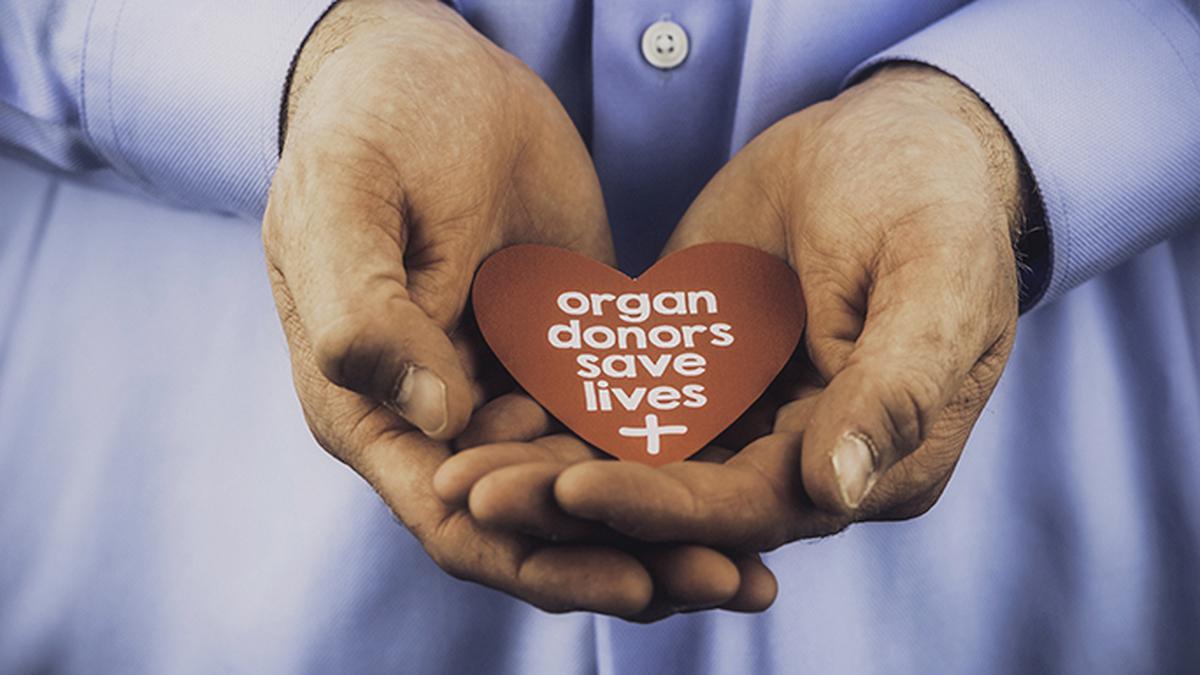 T.N. catches up with previous record high deceased donors in eight months