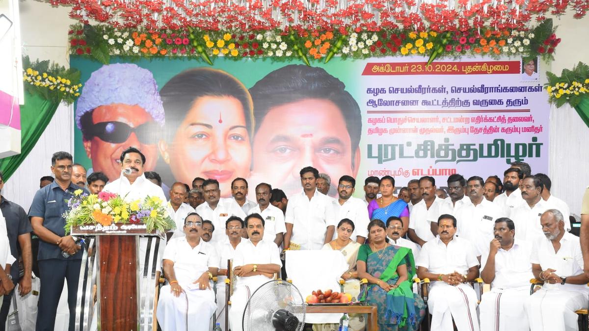 AIADMK’s reputation has not declined, only DMK’s vote share has: Palaniswami