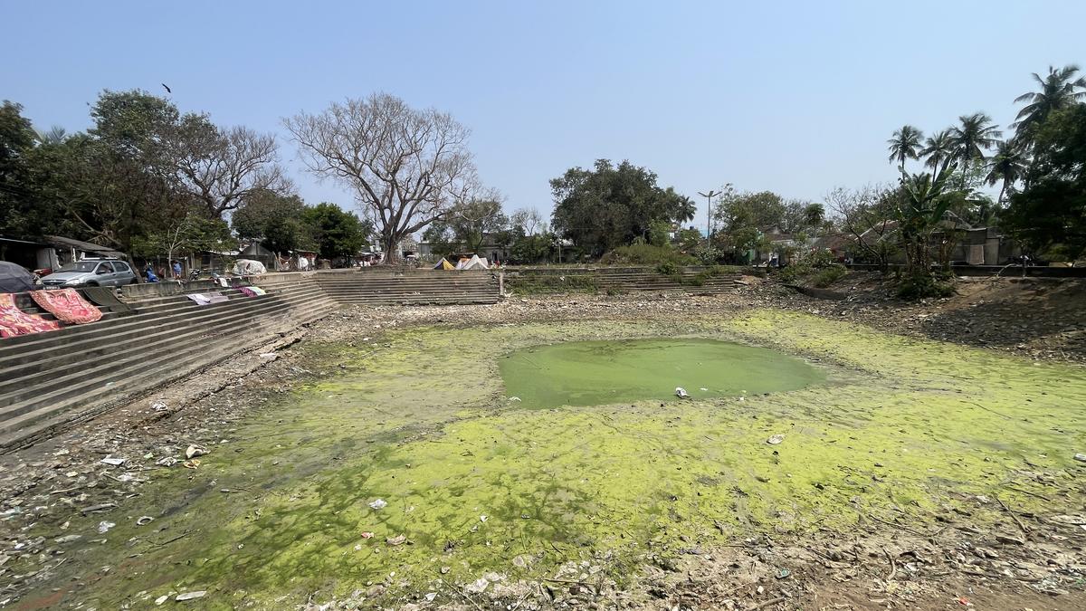 Restoration of temple pond in Kurinjipadi a start to citizen-driven revival of Chola-era waterbodies