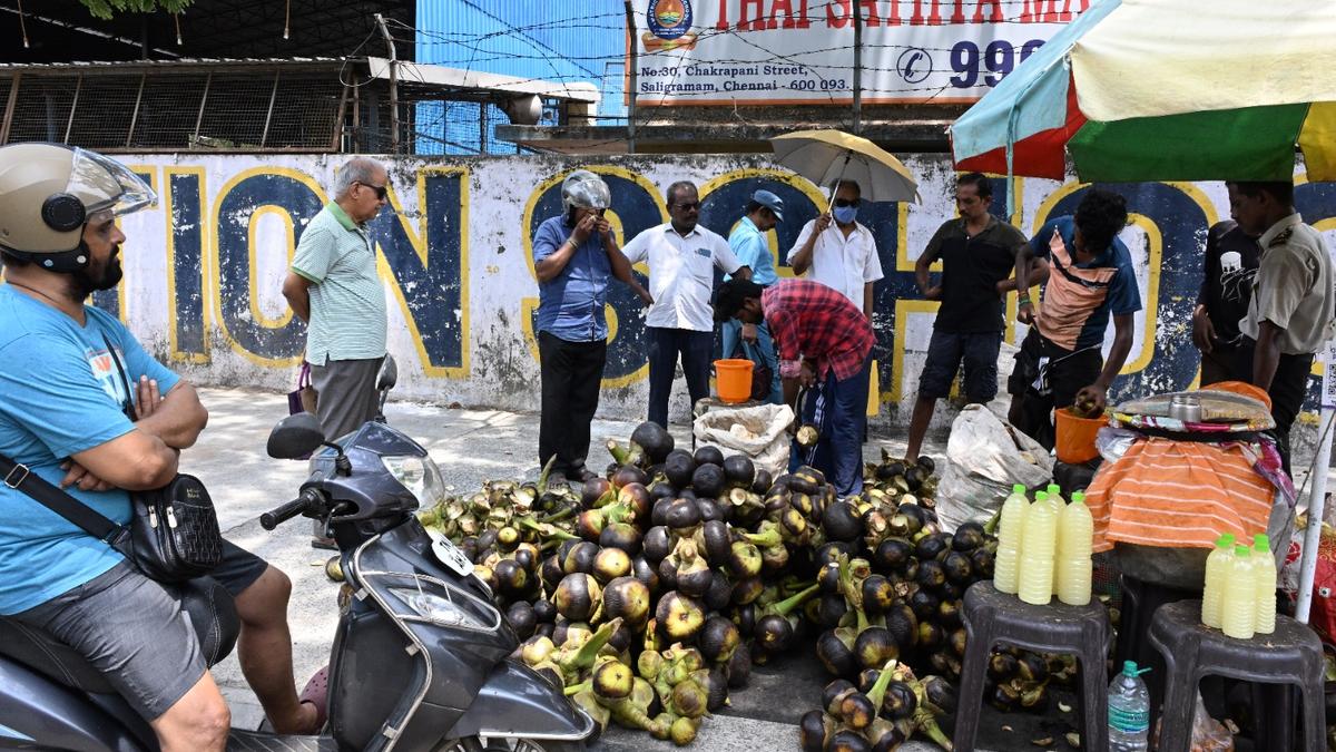 Septuagenarian suffers heat stroke in Ambur, doctors call for increased precautionary measures