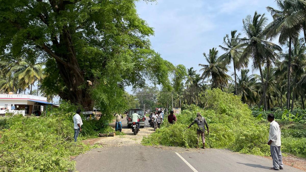 Widening of 36-km-long Tirupattur-Alangayam highway to be completed by August