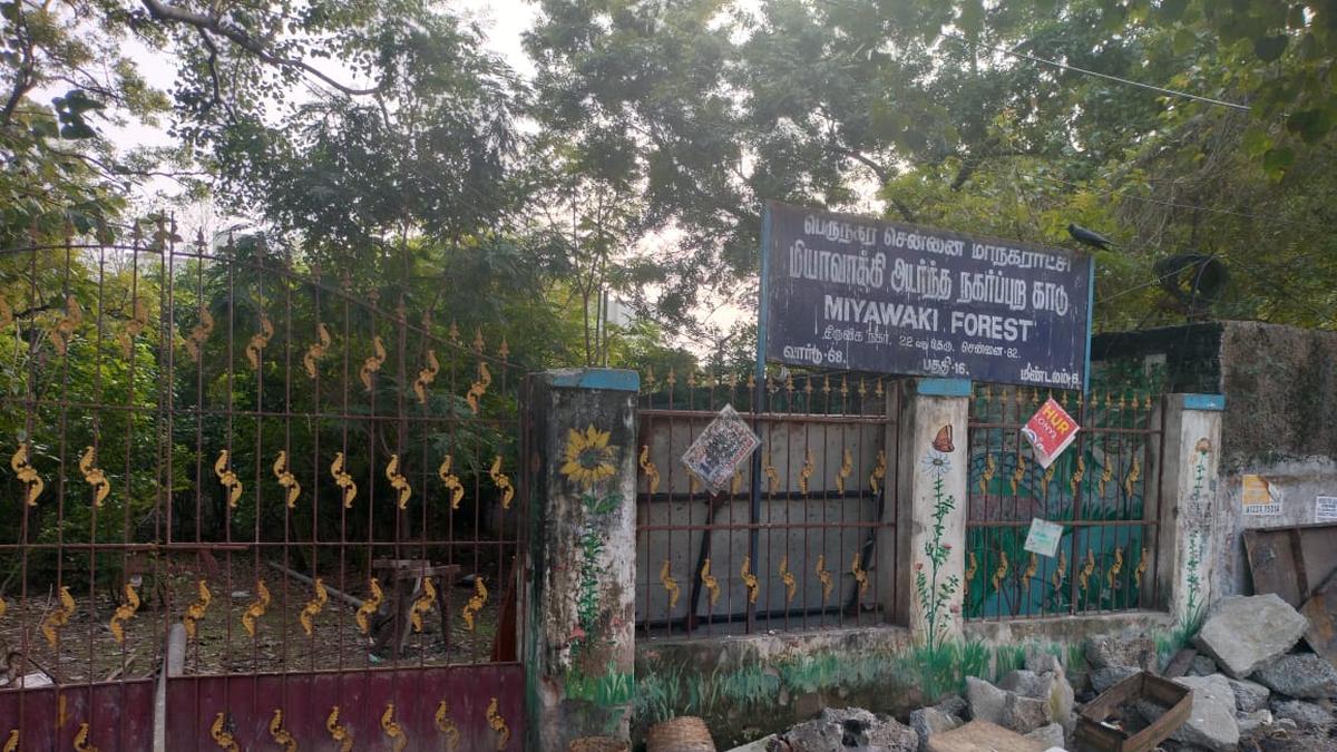 Miyawaki forest in Chennai’s Thiru-Vi-Ka Nagar plagued by garbage woes