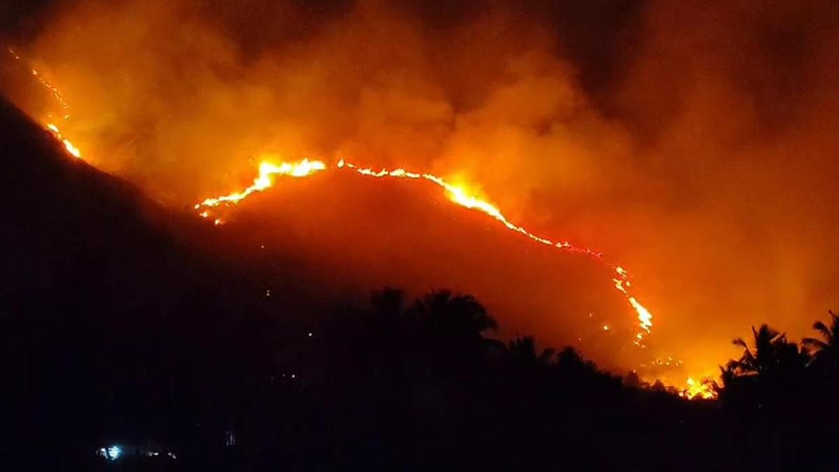 Yelagiri Hills witness forest fire, two hectares of forest land destroyed