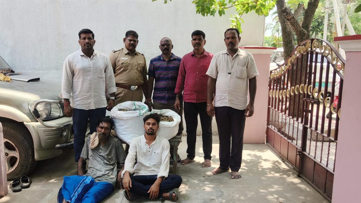 Two held for possession of ganja at Katpadi railway station