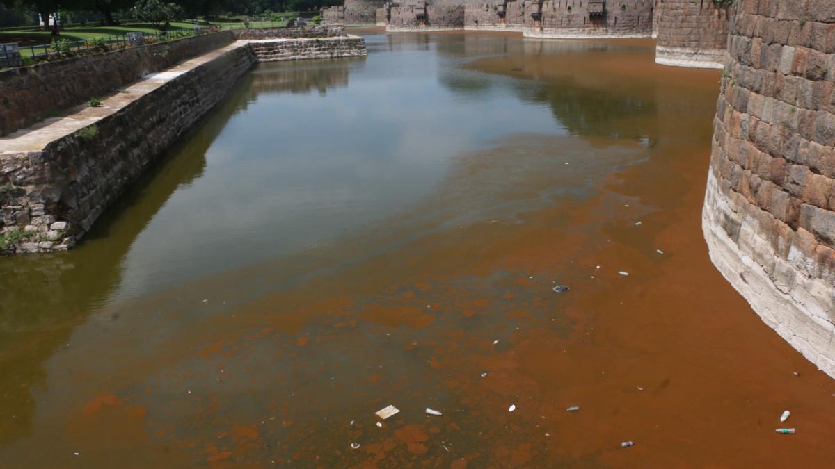 High levels of chemicals led to change in colour of water in Vellore Fort moat