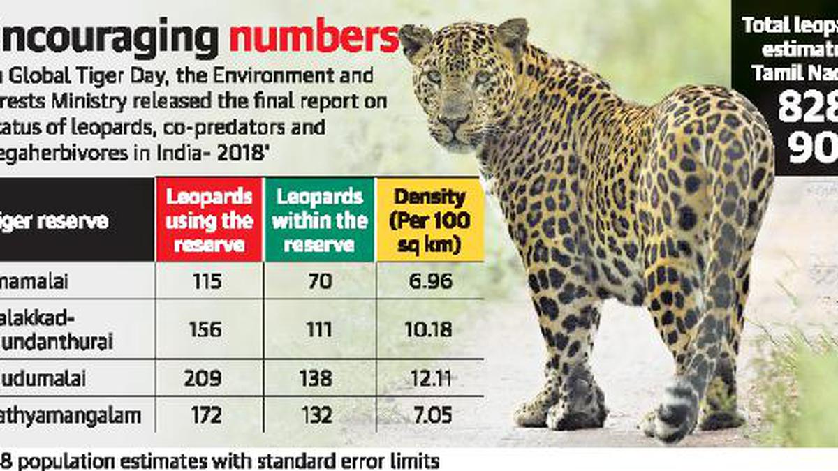 Srivilliputhur sanctuary has the highest leopard density in ...