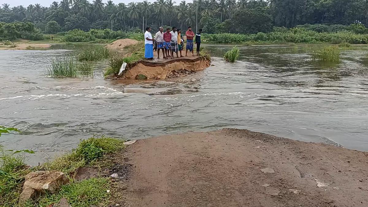 Rain damages temporary road across Palar near Gudiyatham