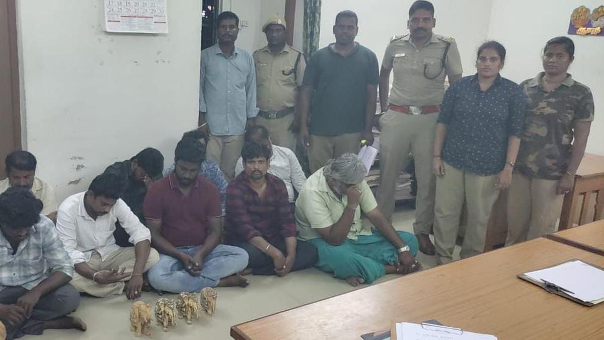 Forest officials arrest 12 persons, seize 6.5 kg of ivory artefacts in  Villupuram