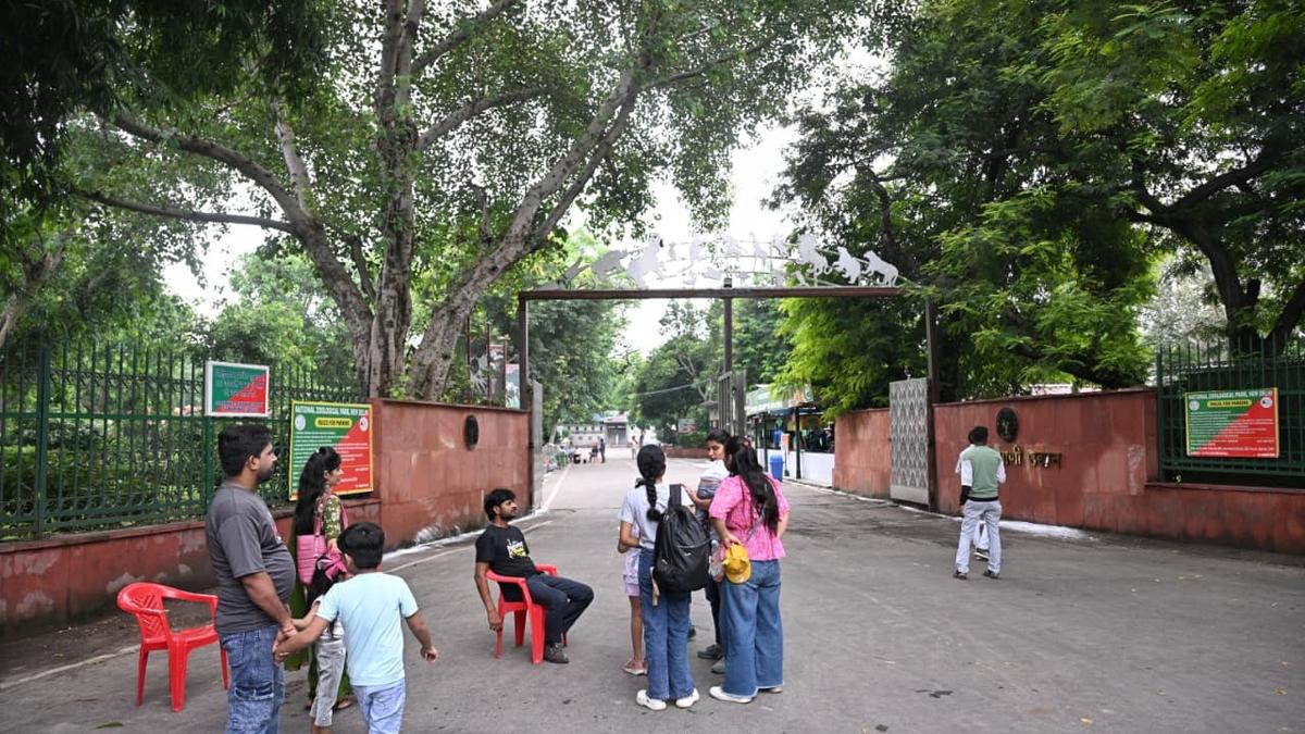 https://th-i.thgim.com/public/news/national/tamil-nadu/7d3kp4/article69992351.ece/alternates/LANDSCAPE_1200/DelhiZoo1.jpg