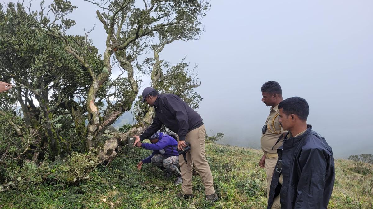 Combing operations conducted in areas surrounding Mukurthi National Park in the Nilgiris