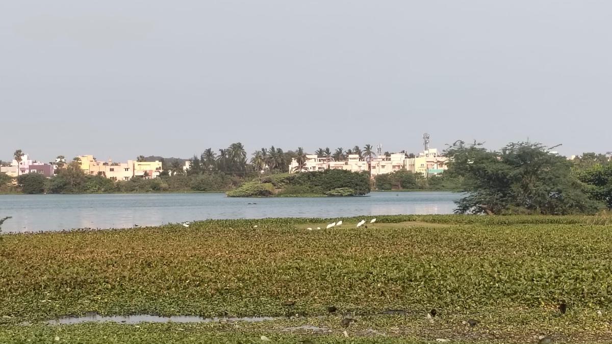 Residents seek Sembakkam Lake revival, action on civic issues after election results