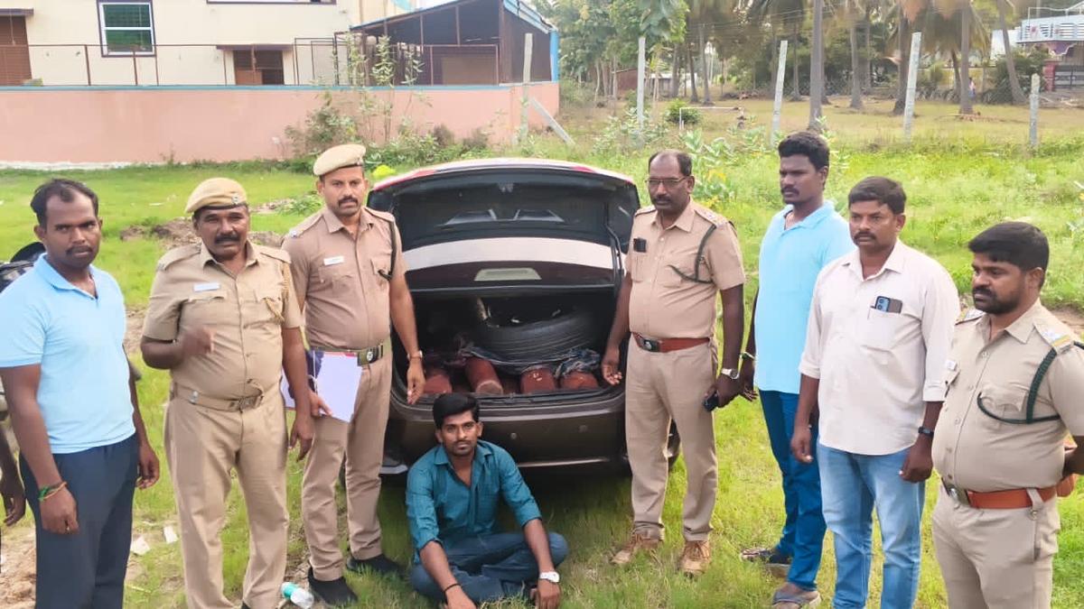 Man held for smuggling red sanders in Jolarpet