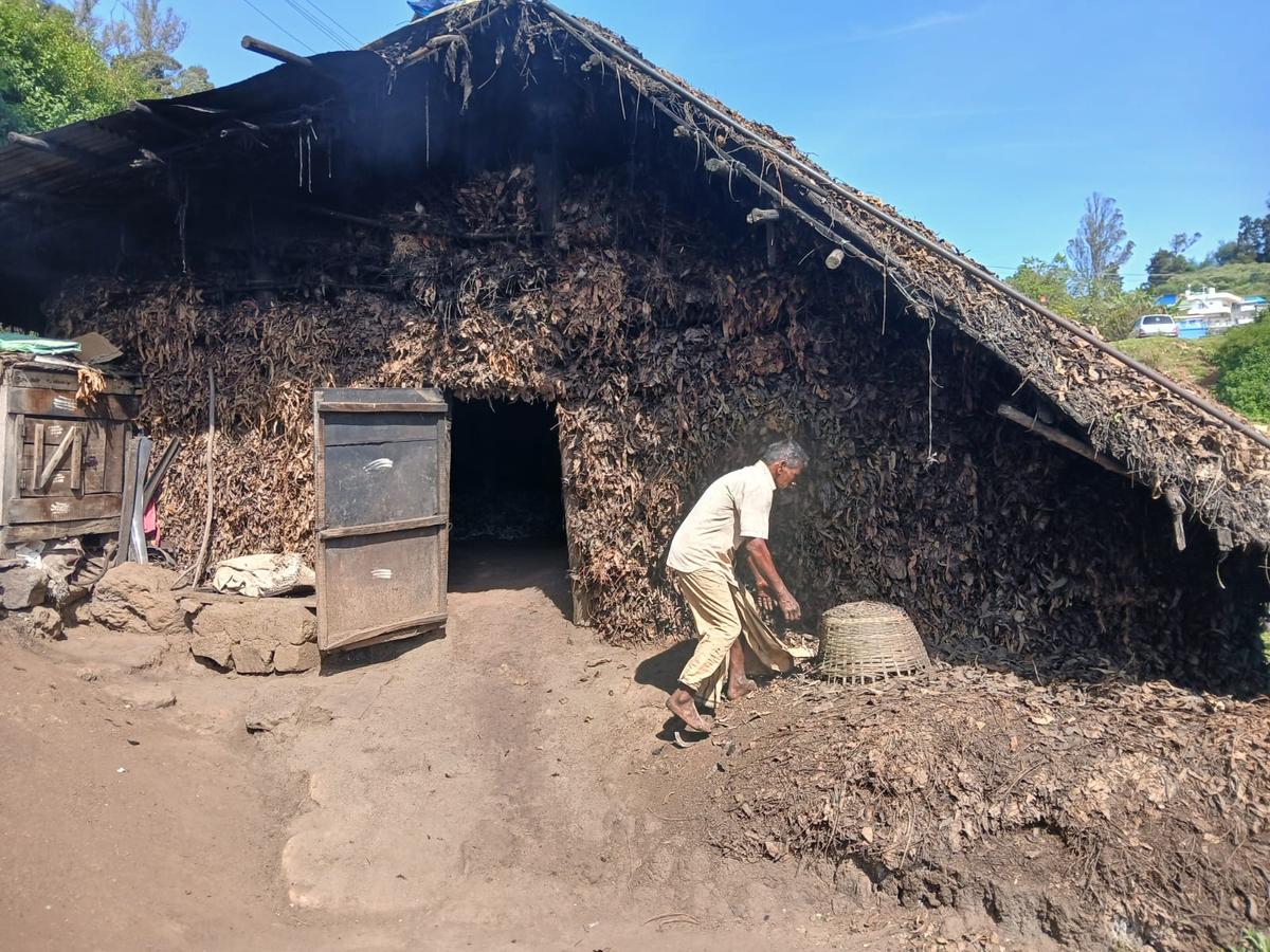 One of only a handful of eucalyptus oil-producing sheds in Udhagamandalam