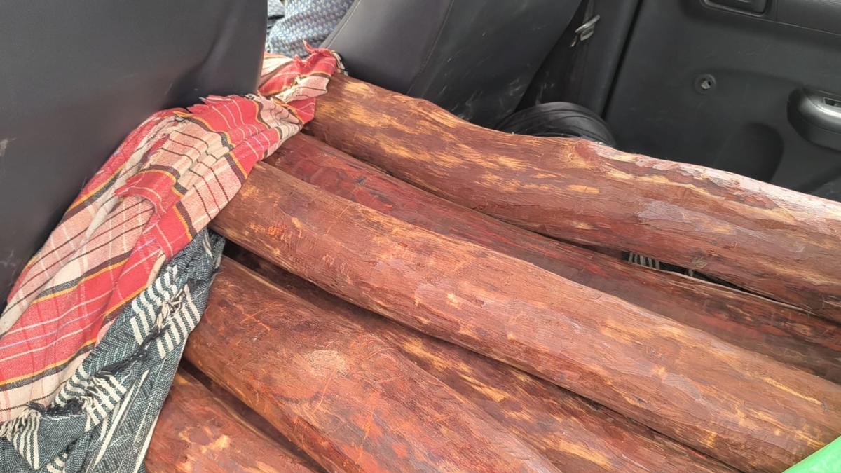 Police seized 300 kg red sanders in Tirupattur