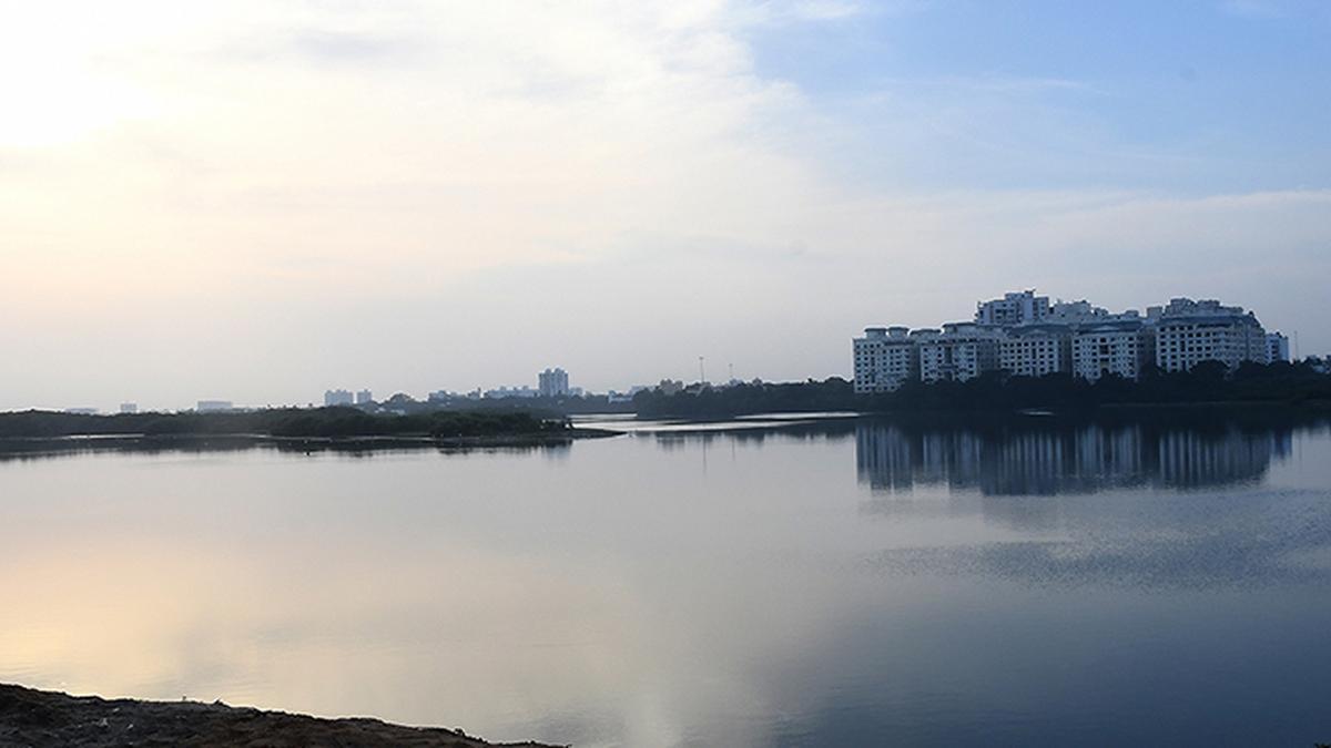 TNPCB finds no ‘forever chemicals’ in waterbodies, contradicting IIT-M report