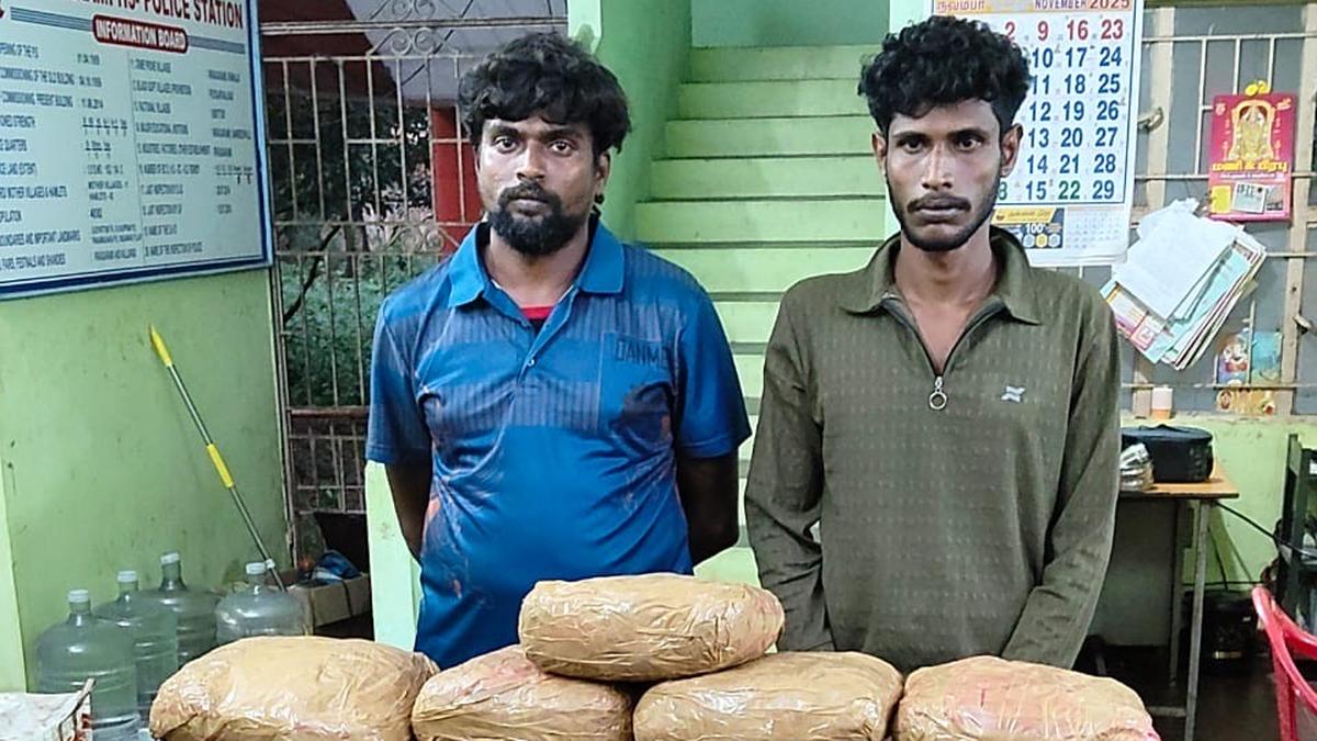 Two persons arrested for smuggling ganja near Gudiyatham