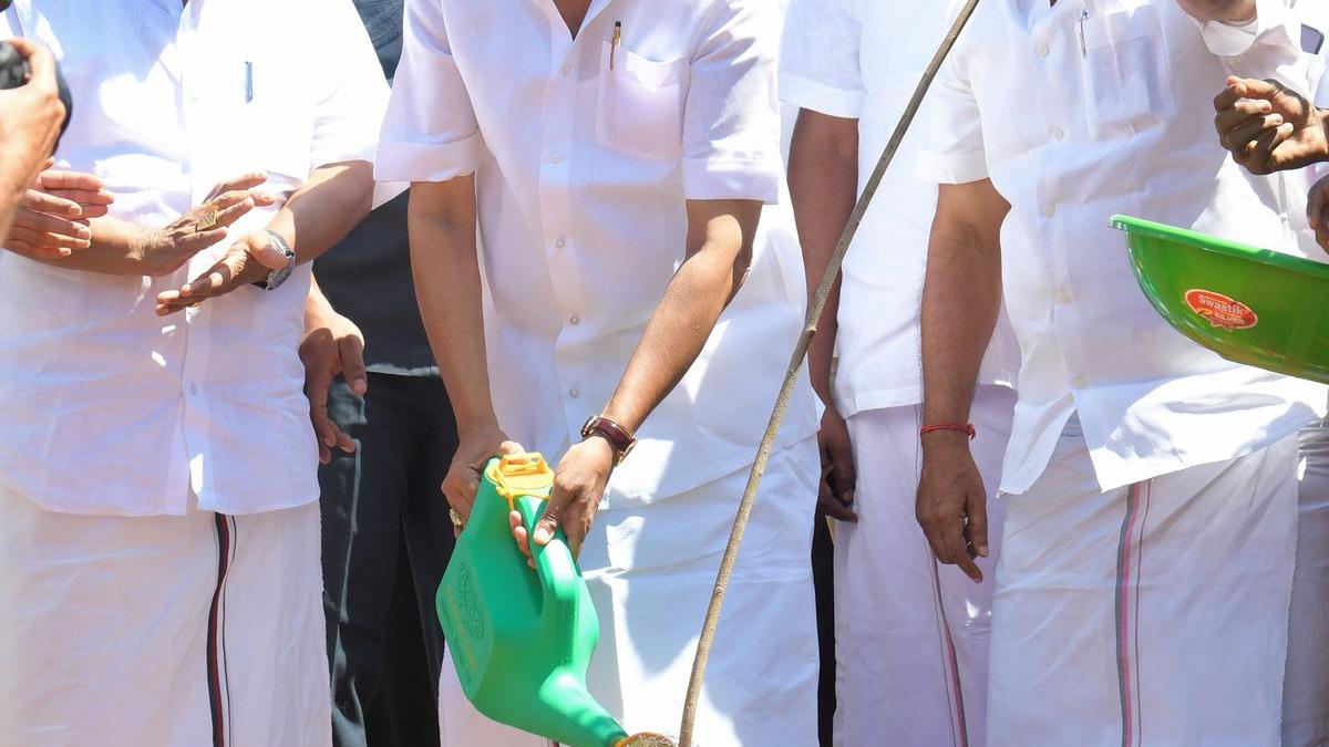 Tamil Nadu well-poised to tackle climate challenges: Economic Survey