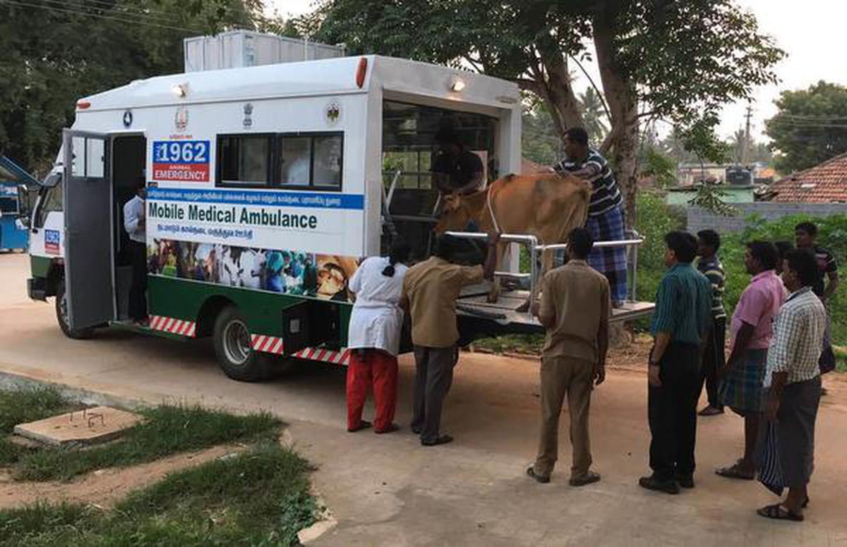 Now, animal care has a new number - The Hindu