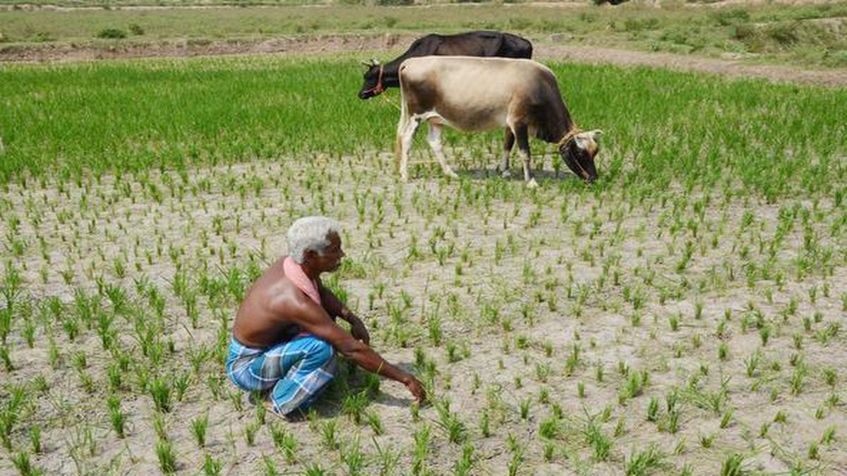 ₹976 Crore To Overcome Water Crisis - The Hindu