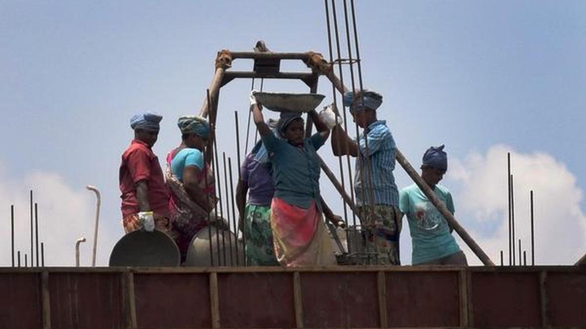 HC seeks status report from T.N. construction welfare board The Hindu