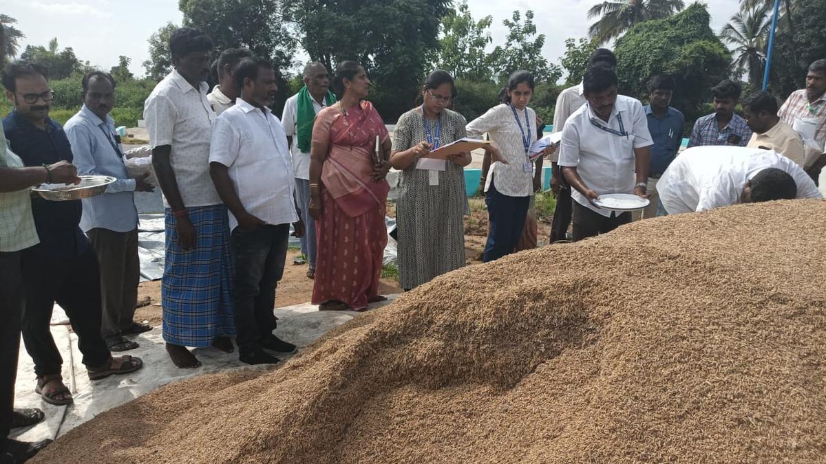 Central team visits DPCs in Chengalpattu district, collects samples