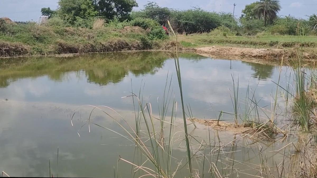 Three boys drown in pond in Ranipet