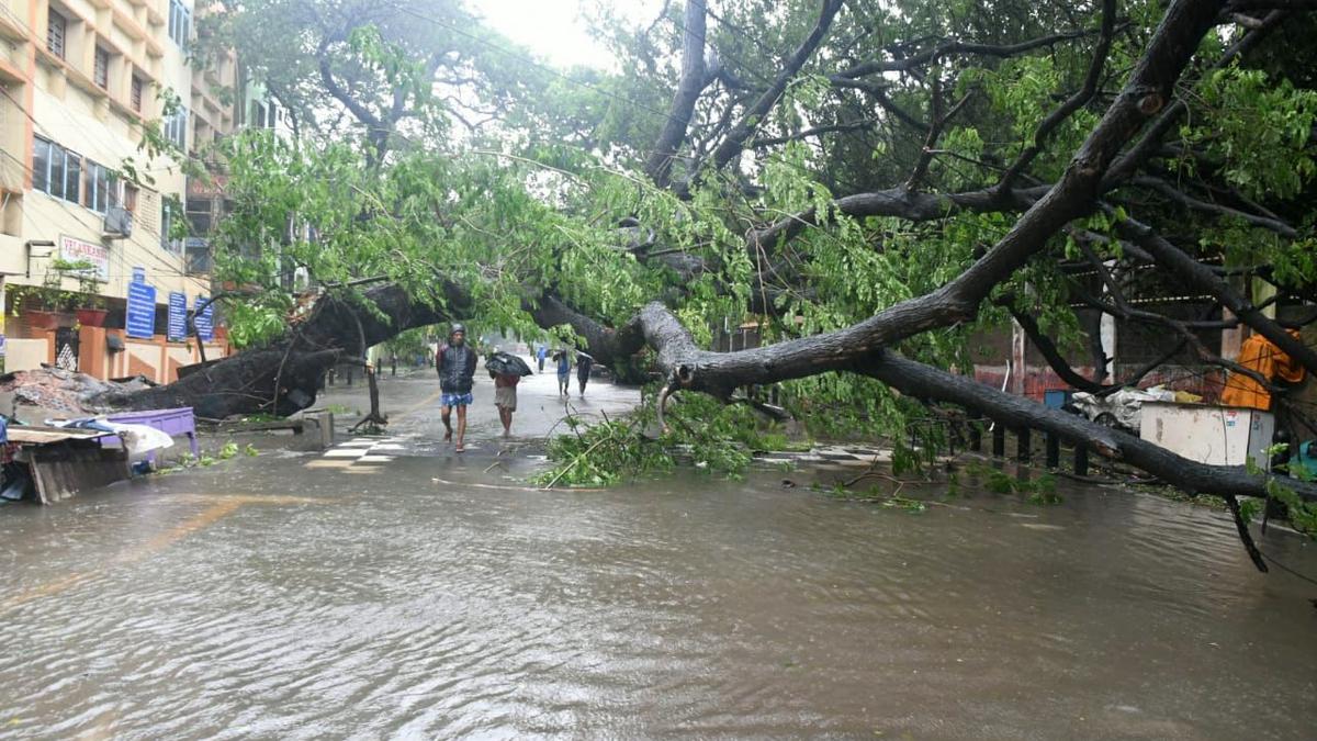 Data | How The Chennai Rainfall Occurred - The Hindu