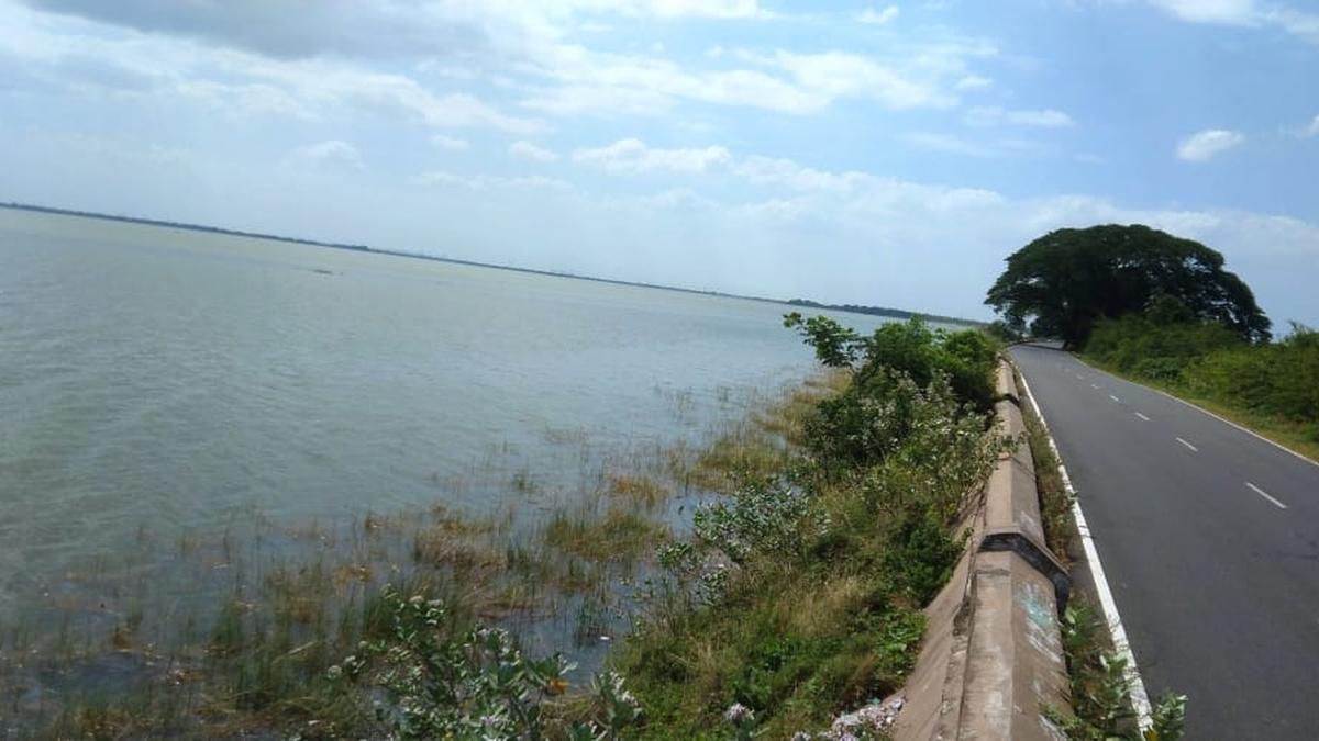 Veeranam tank reaches capacity