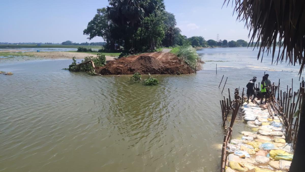 Tamil Nadu flood | Heavy rains triggered 720 breaches in 515 tanks in Tirunelveli, Thoothukudi districts