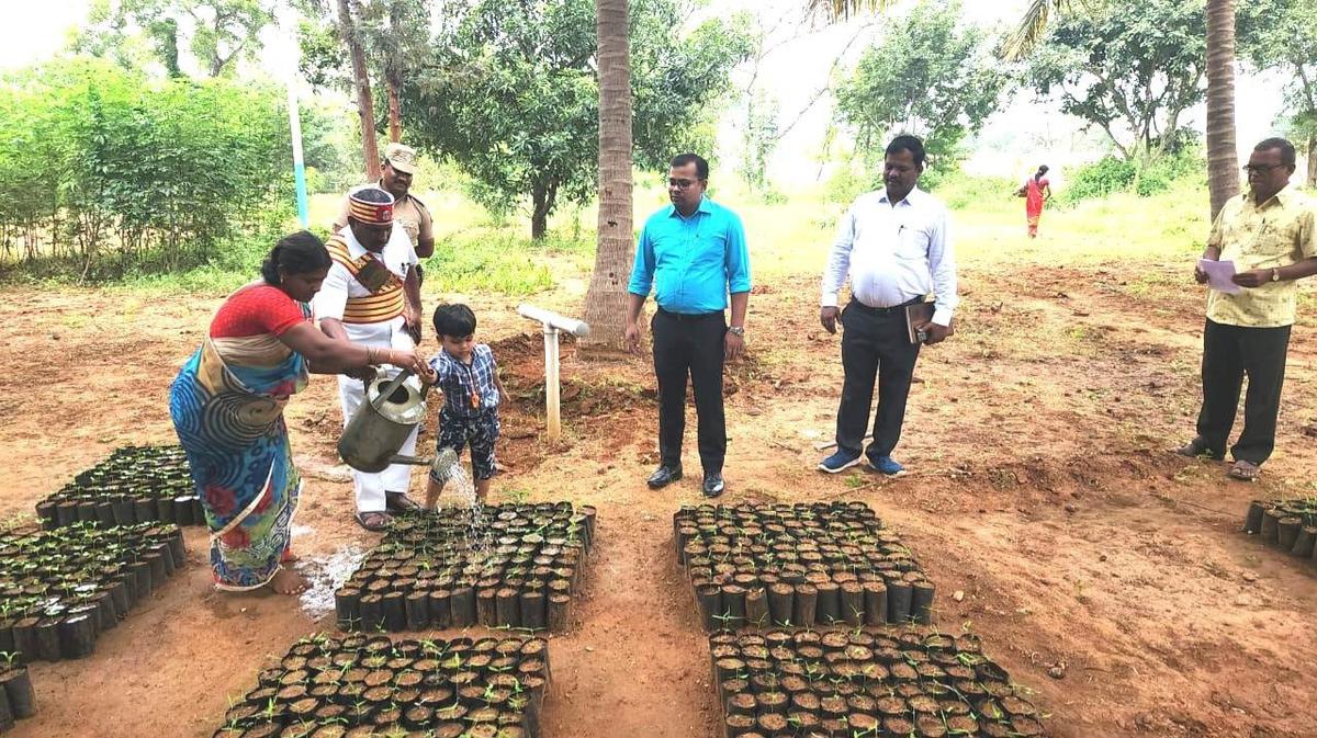 Collector’s camp office turns nursery garden in Tirupattur