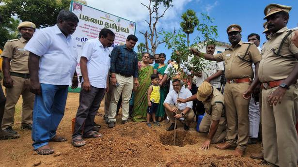 Oer 3.5 lakh saplings planted in Tirupattur, Tiruvannamalai