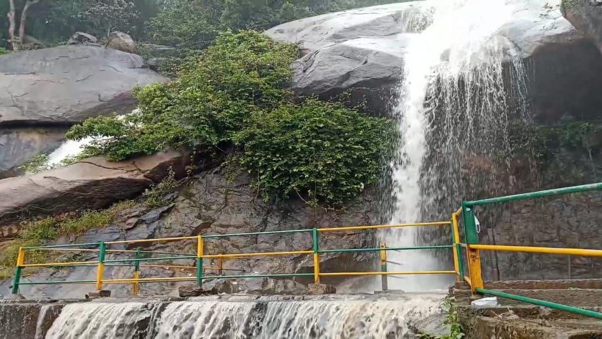 Jalagamparai and Bheeman falls in Jawadhu Hills open for tourists as water flow resumes due to rain