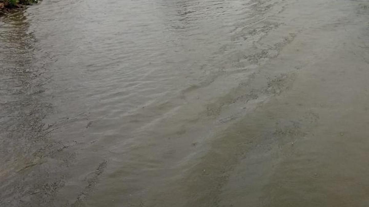 Nedungundram residents flag regular flooding, say locality lacks proper storm-water drains