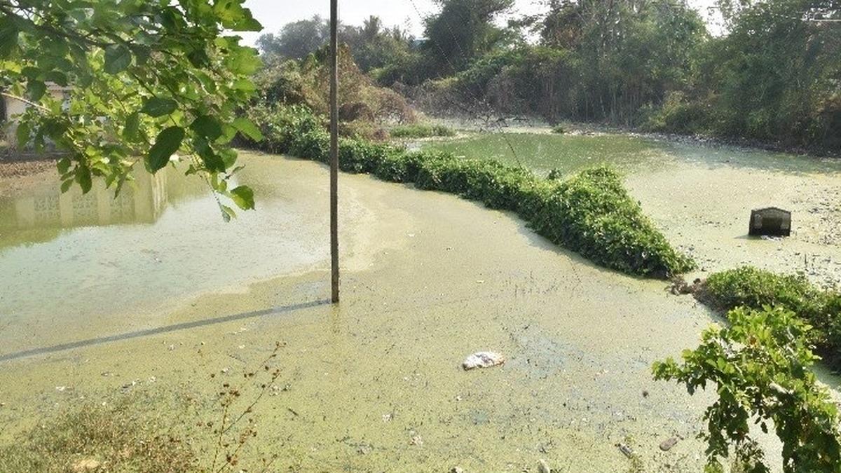 SC-ST panel inspects lake near Katpadi over discharge of sullage